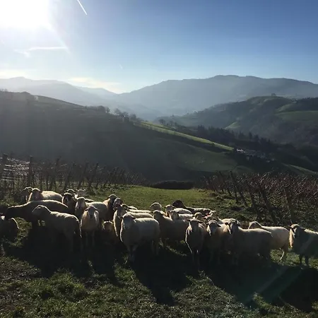 Apartamento Arbela Apartamentuak Aia