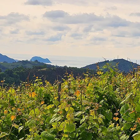 Arbela Apartamentuak Aia