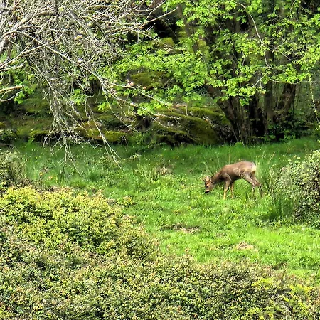 Arbela Apartamentuak * Aia