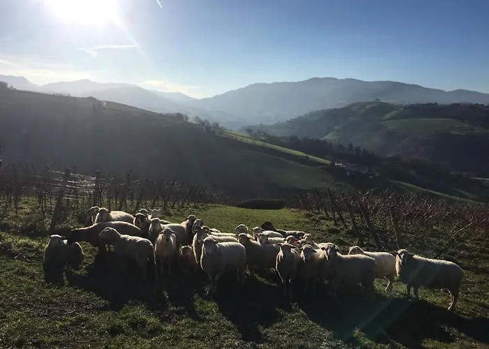 Lägenhet Arbela Apartamentuak Aia
