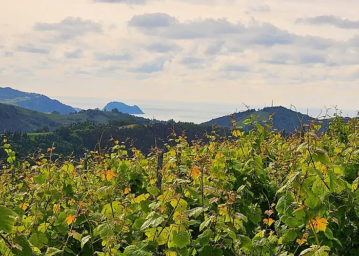 Arbela Apartamentuak Aia